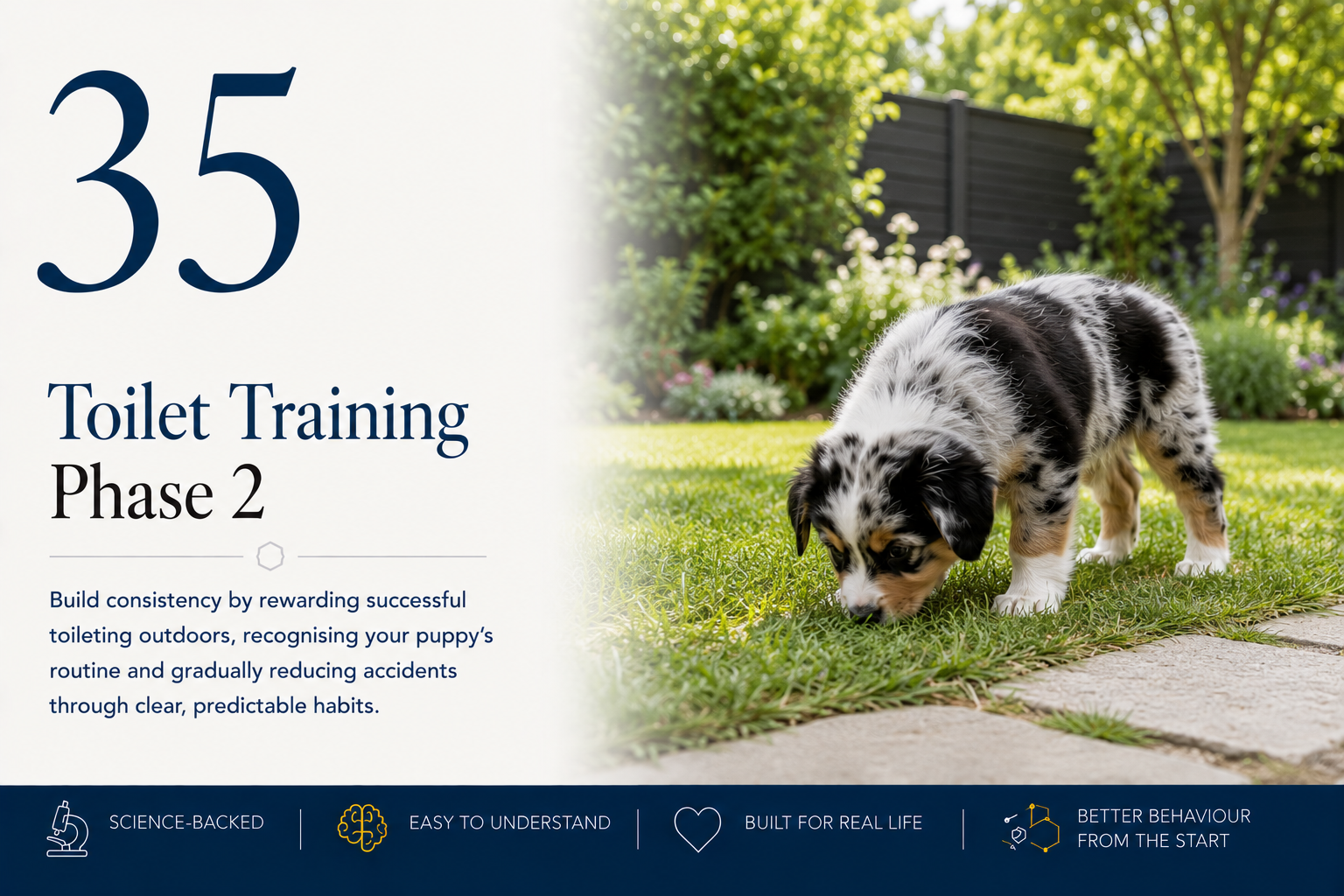 Toilet Training Phase 2 lesson