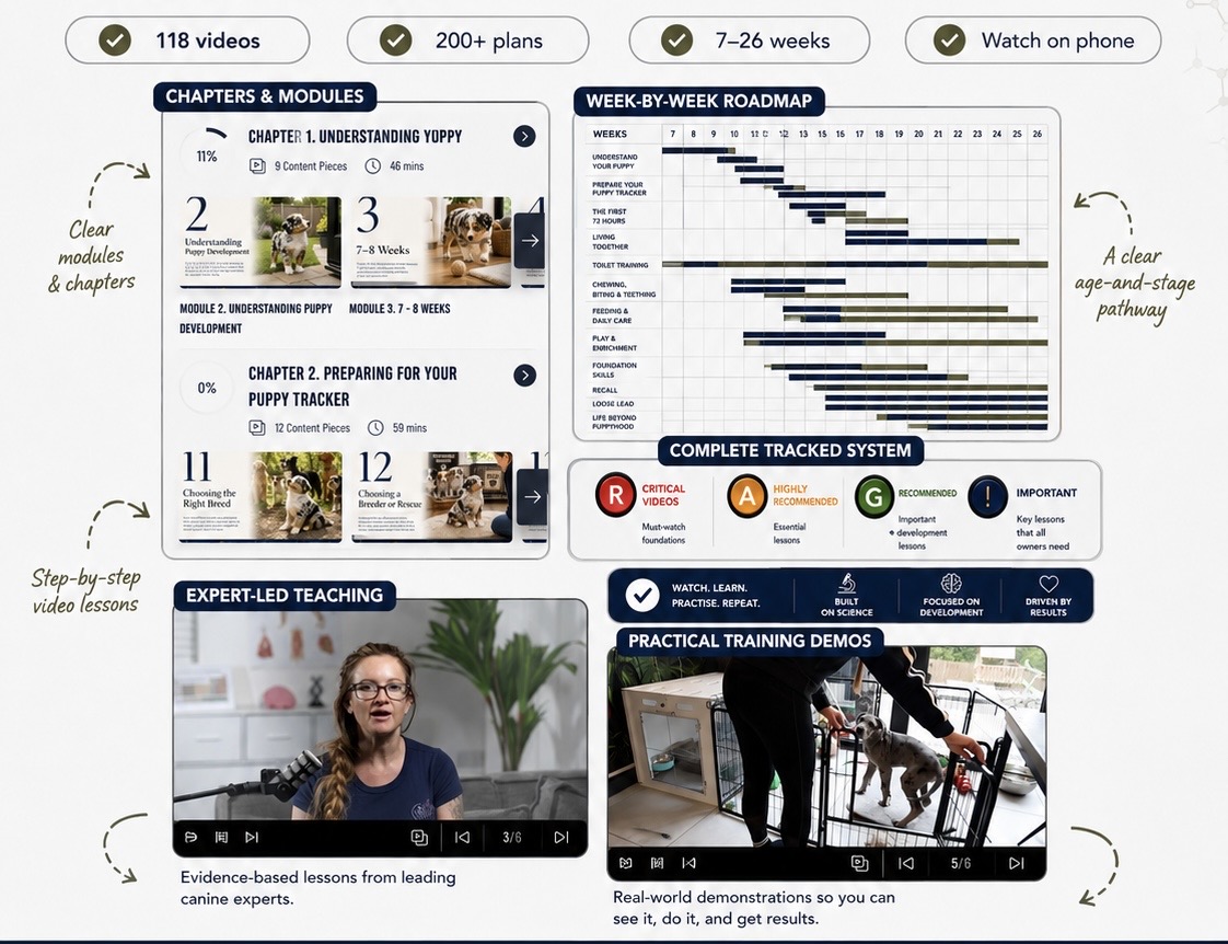 Inside the course: chapters, week-by-week roadmap, expert-led teaching and practical training demos
