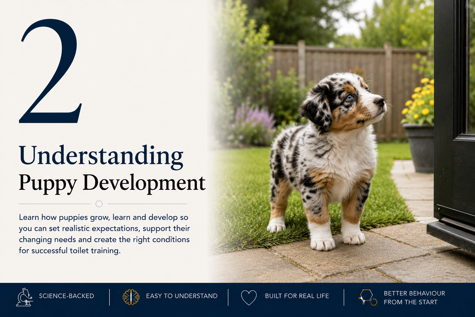 Understanding Puppy Development lesson