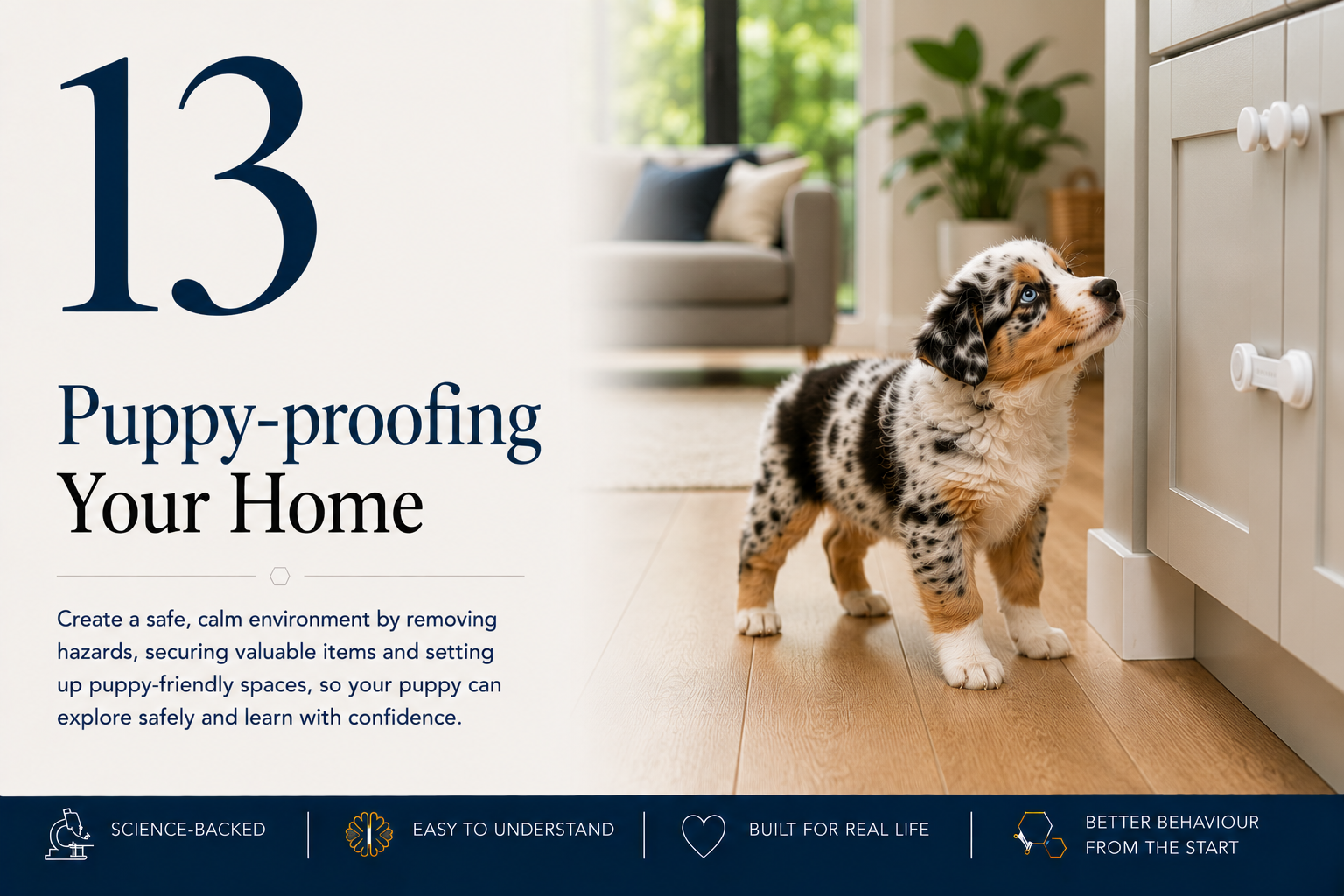 Puppy-proofing Your Home lesson